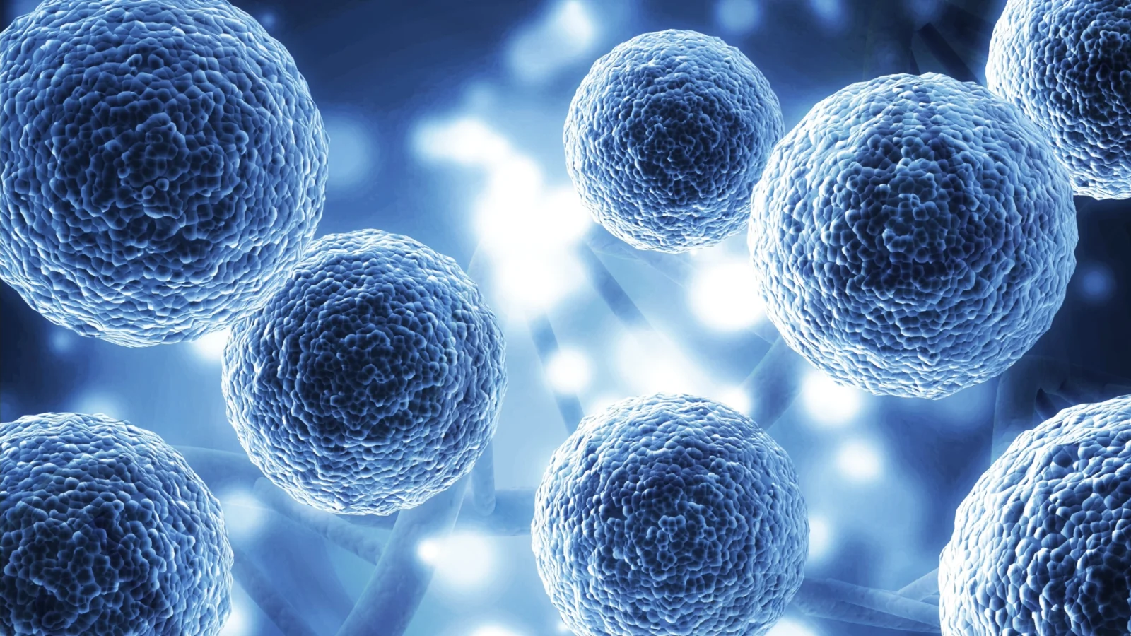 Stem Cell dan Perannya dalam Kedokteran Regeneratif